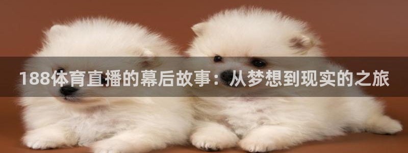 188体育直播的幕后故事：从梦想到现实的之旅