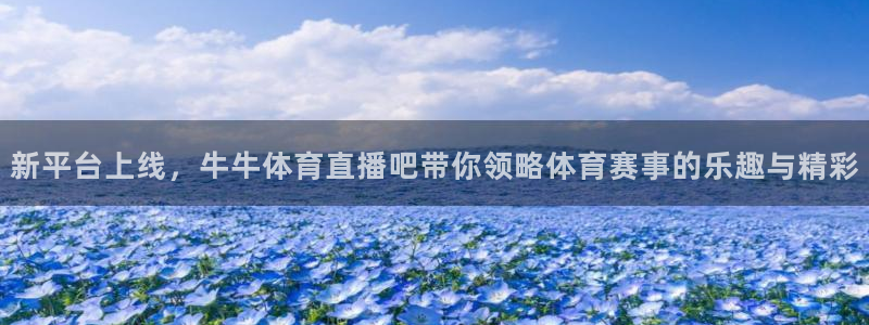 新平台上线，牛牛体育直播吧带你领略体育赛事的乐趣与精彩