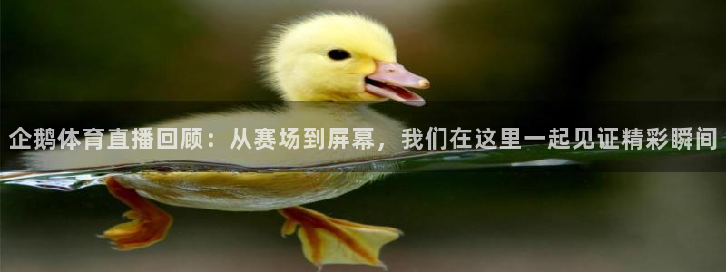 企鹅体育直播回顾：从赛场到屏幕，我们在这里一起见证精彩瞬间