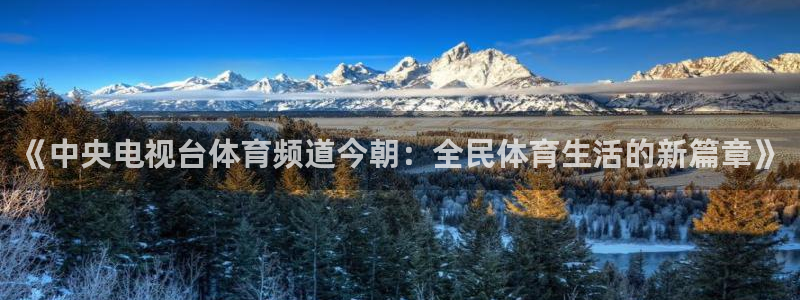《中央电视台体育频道今朝：全民体育生活的新篇章》