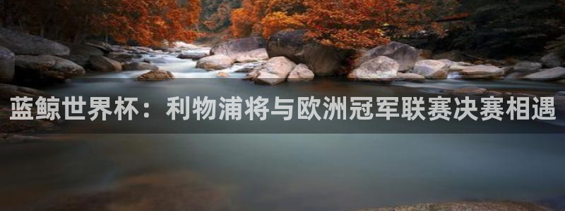 蓝鲸世界杯：利物浦将与欧洲冠军联赛决赛相遇