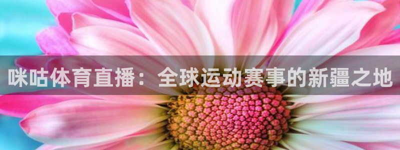 咪咕体育直播：全球运动赛事的新疆之地
