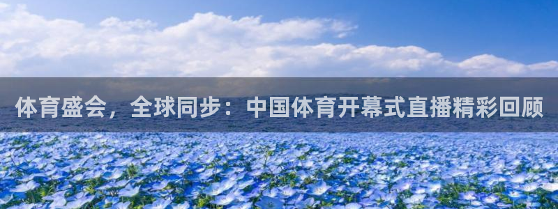 体育盛会，全球同步：中国体育开幕式直播精彩回顾