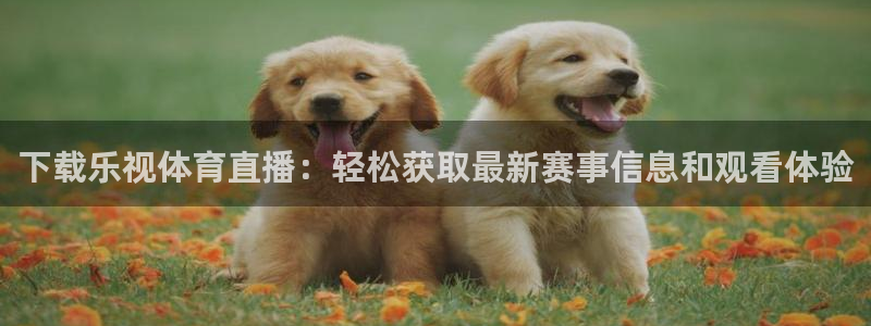 下载乐视体育直播：轻松获取最新赛事信息和观看体验