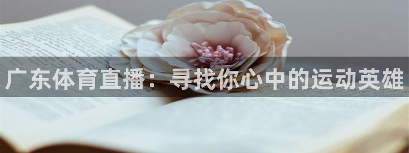广东体育直播：寻找你心中的运动英雄