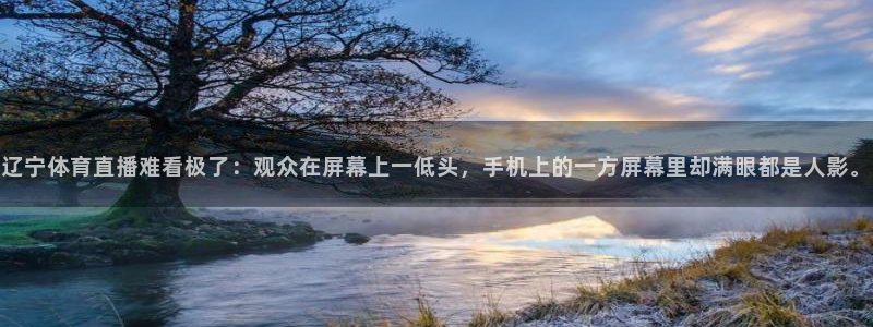 辽宁体育直播难看极了：观众在屏幕上一低头，手机上的一方屏幕里却满眼都是人影。