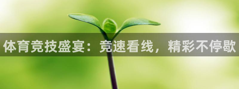 体育竞技盛宴：竞速看线，精彩不停歇