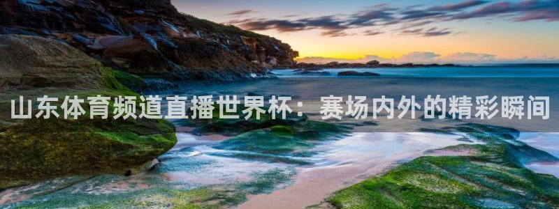 山东体育频道直播世界杯：赛场内外的精彩瞬间