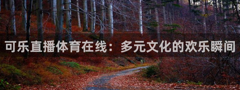可乐直播体育在线：多元文化的欢乐瞬间