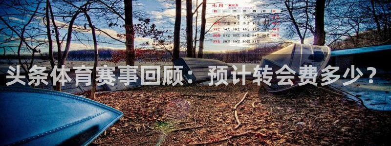 头条体育赛事回顾：预计转会费多少？