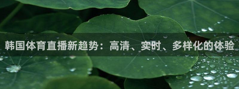 韩国体育直播新趋势：高清、实时、多样化的体验