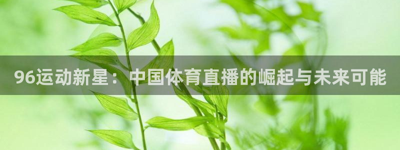 96运动新星：中国体育直播的崛起与未来可能