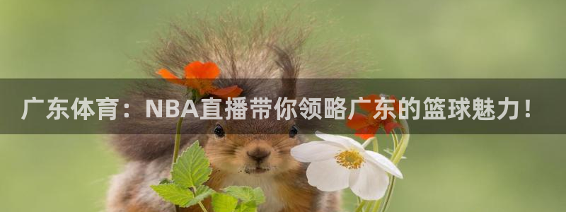 广东体育：NBA直播带你领略广东的篮球魅力！