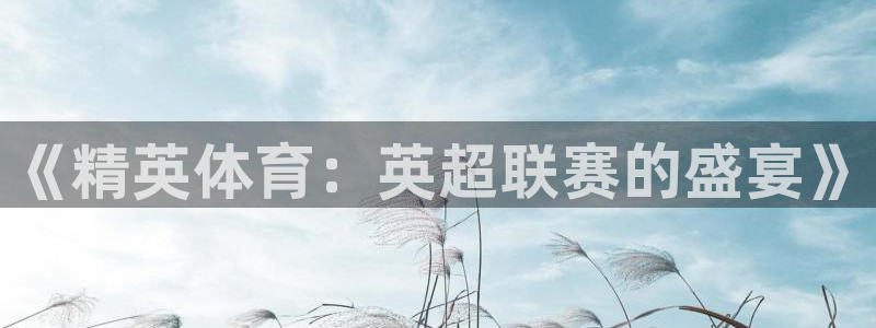 《精英体育：英超联赛的盛宴》