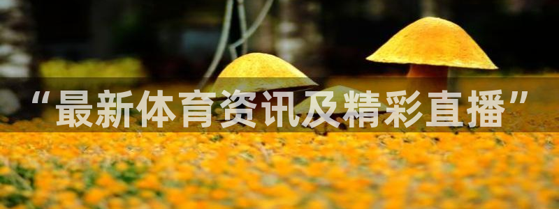“最新体育资讯及精彩直播”