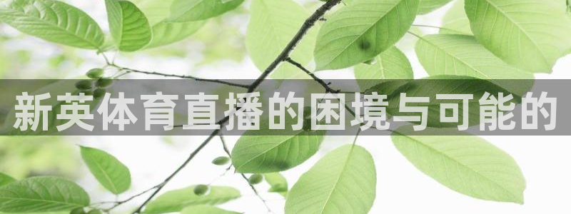 新英体育直播的困境与可能的
