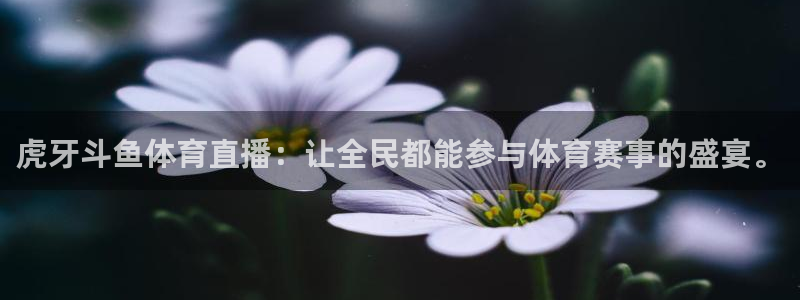 虎牙斗鱼体育直播：让全民都能参与体育赛事的盛宴。