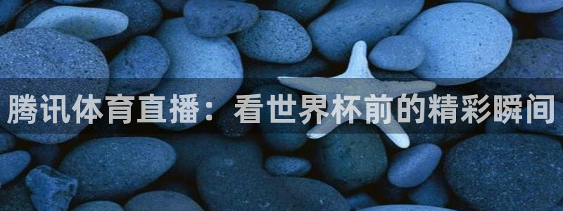 腾讯体育直播：看世界杯前的精彩瞬间