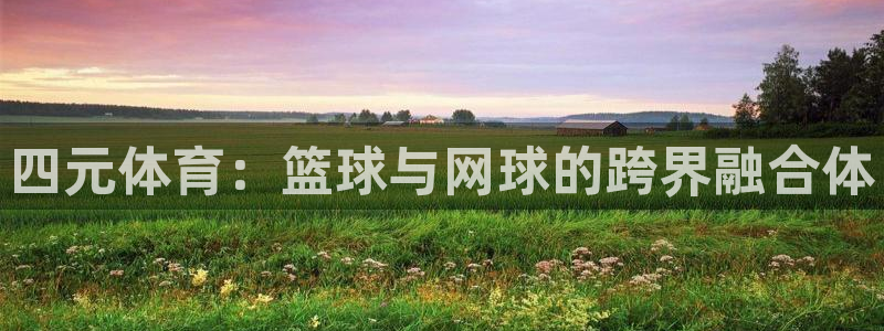 四元体育：篮球与网球的跨界融合体