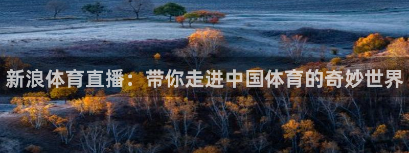 新浪体育直播：带你走进中国体育的奇妙世界