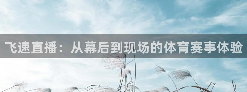 飞速直播：从幕后到现场的体育赛事体验