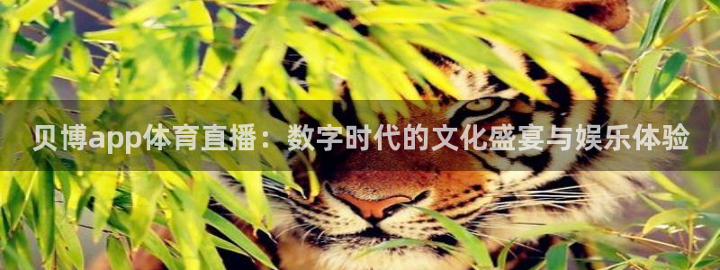 贝博app体育直播：数字时代的文化盛宴与娱乐体验