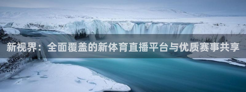 新视界：全面覆盖的新体育直播平台与优质赛事共享