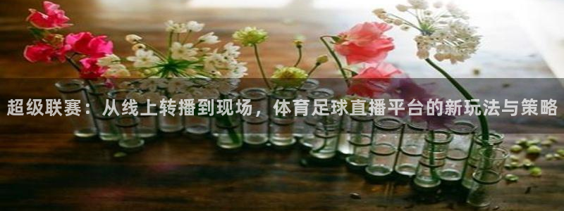 超级联赛：从线上转播到现场，体育足球直播平台的新玩法与策略