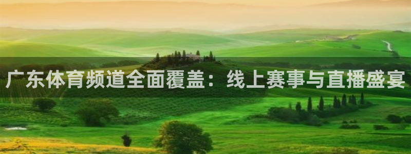 广东体育频道全面覆盖：线上赛事与直播盛宴
