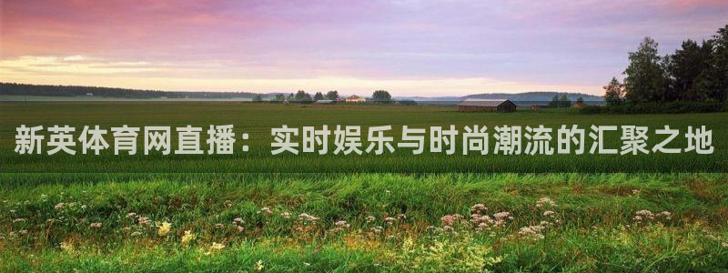 新英体育网直播：实时娱乐与时尚潮流的汇聚之地