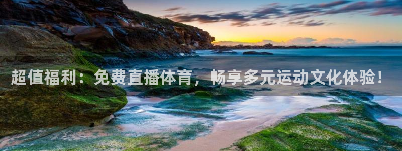 超值福利：免费直播体育，畅享多元运动文化体验！