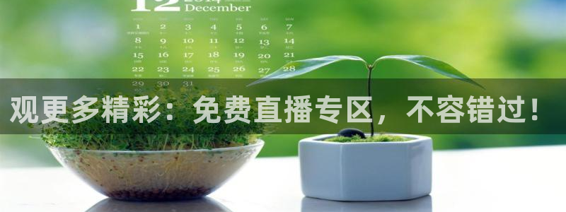 观更多精彩：免费直播专区，不容错过！