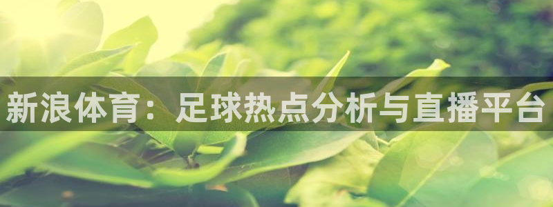 新浪体育：足球热点分析与直播平台