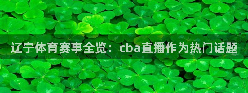 辽宁体育赛事全览：cba直播作为热门话题
