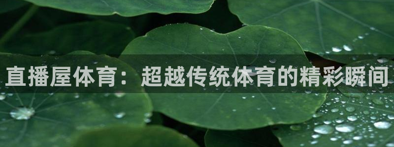 直播屋体育：超越传统体育的精彩瞬间