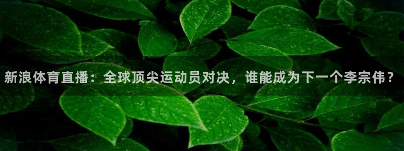新浪体育直播：全球顶尖运动员对决，谁能成为下一个李宗伟？