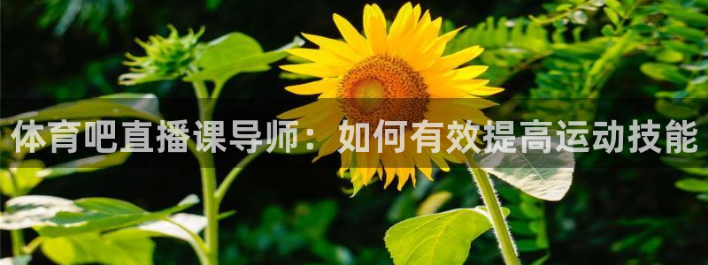 体育吧直播课导师：如何有效提高运动技能