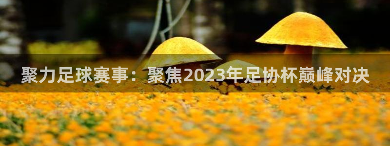 聚力足球赛事：聚焦2023年足协杯巅峰对决