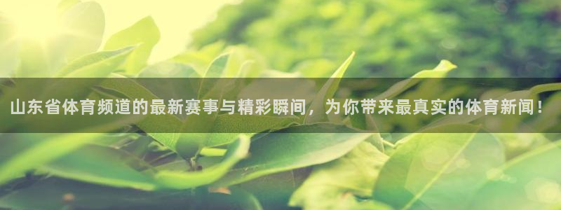 山东省体育频道的最新赛事与精彩瞬间，为你带来最真实的体育新闻！