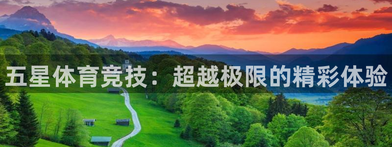 五星体育竞技：超越极限的精彩体验