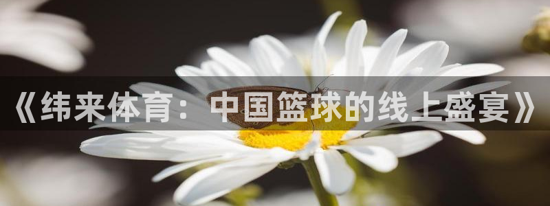 《纬来体育：中国篮球的线上盛宴》