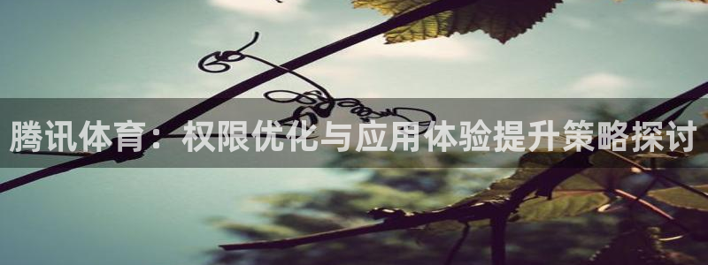 腾讯体育：权限优化与应用体验提升策略探讨