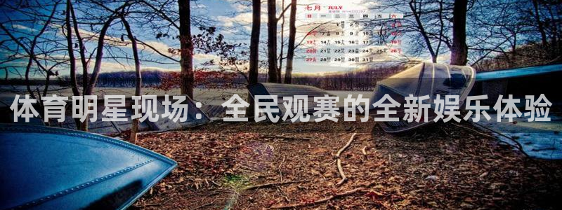 体育明星现场：全民观赛的全新娱乐体验