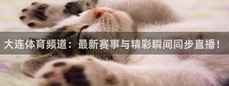 大连体育频道：最新赛事与精彩瞬间同步直播！