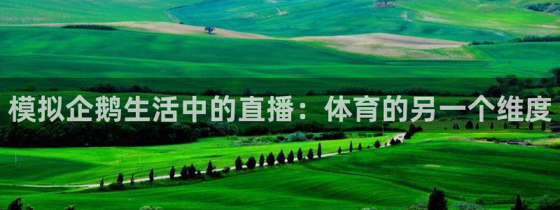 模拟企鹅生活中的直播：体育的另一个维度
