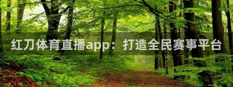 红刀体育直播app：打造全民赛事平台