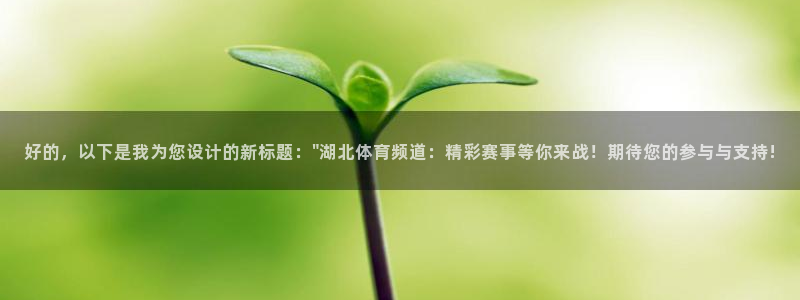 好的，以下是我为您设计的新标题：\