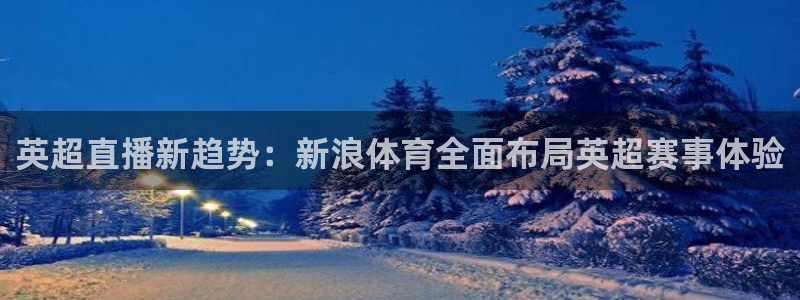 英超直播新趋势：新浪体育全面布局英超赛事体验