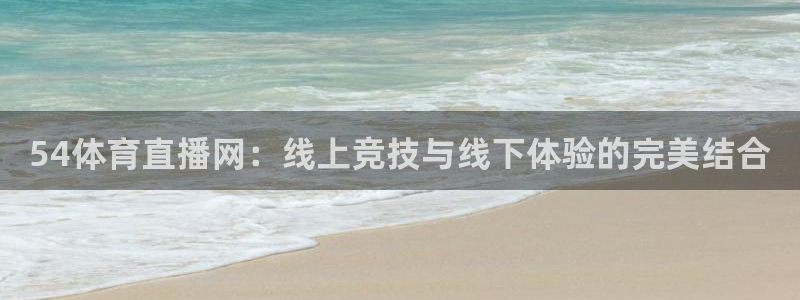54体育直播网：线上竞技与线下体验的完美结合