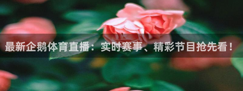 最新企鹅体育直播：实时赛事、精彩节目抢先看！